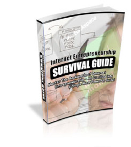 Product picture Internet Entrepreneurship Survival Guide